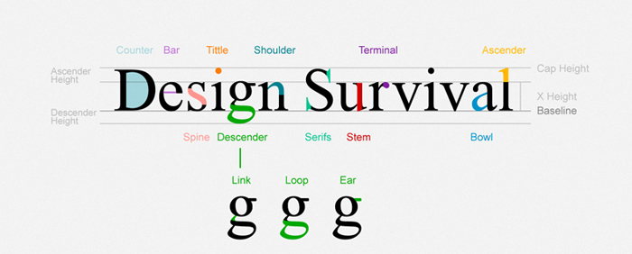 typography-web-design